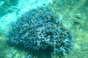 f0190653_1054312.jpg