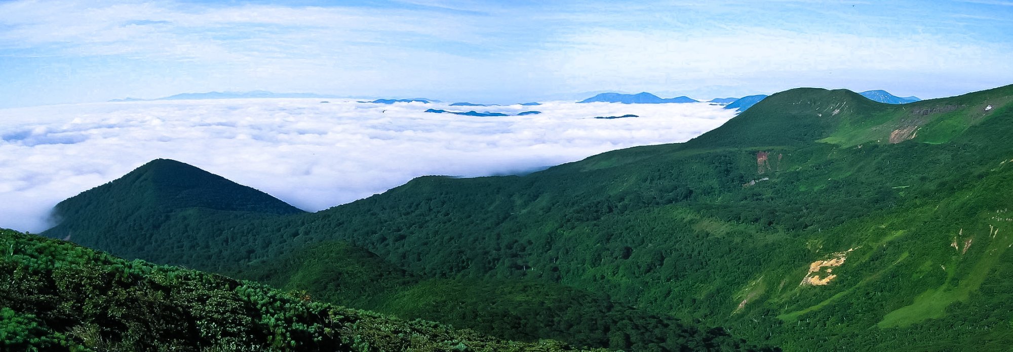 f0044056_8231790.jpg