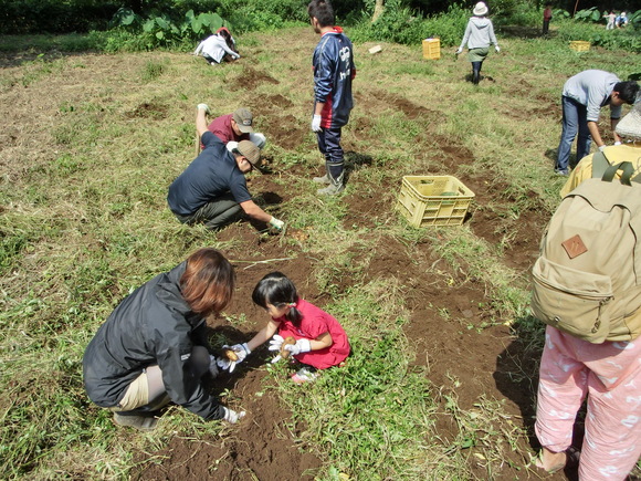 f0201157_10174697.jpg