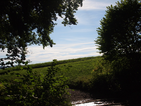 c0059063_20342823.jpg