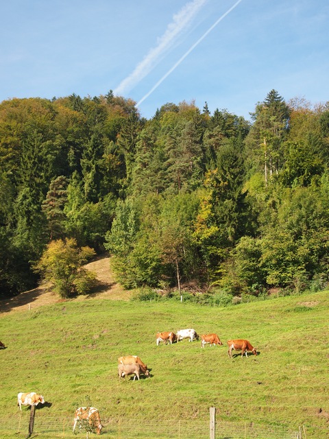 c0059063_20371772.jpg