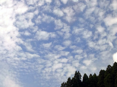 c0050264_10305813.jpg