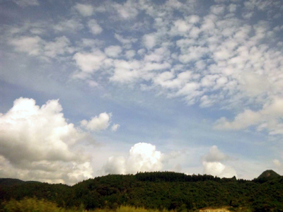 c0050264_10321912.jpg
