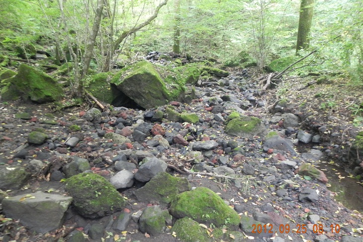 f0016066_20242477.jpg