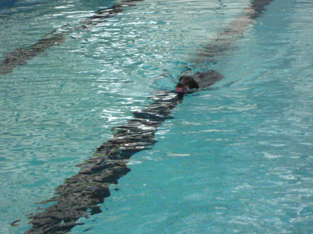 e0165577_10531247.jpg