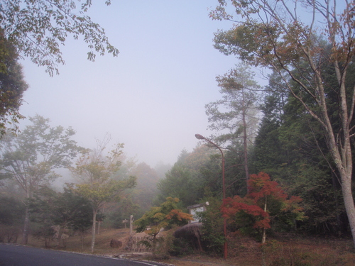 f0223480_21223840.jpg