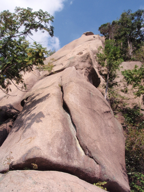 f0223480_21282225.jpg