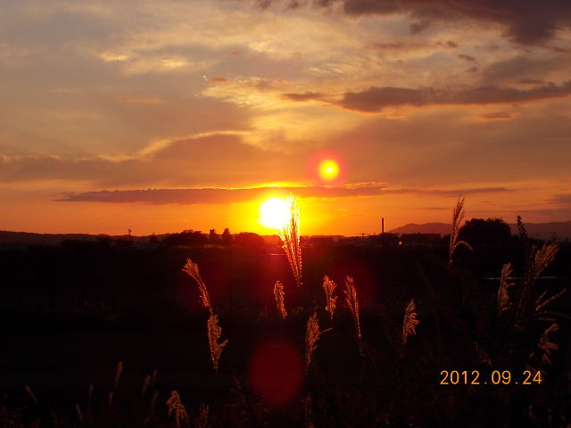 a0007388_15334898.jpg