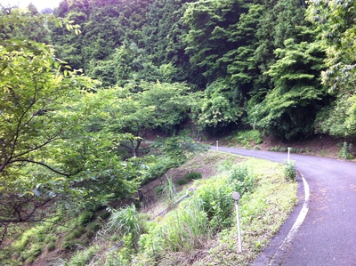 e0247789_20515479.jpg