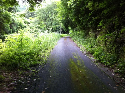 e0247789_2113479.jpg