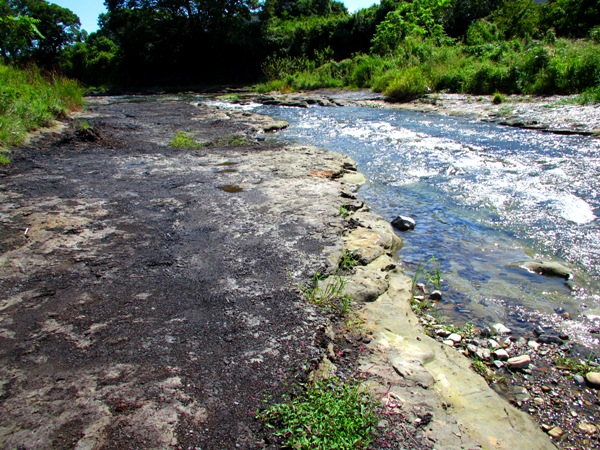 b0192199_2285874.jpg