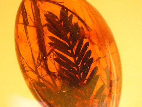 b0192199_8381641.jpg