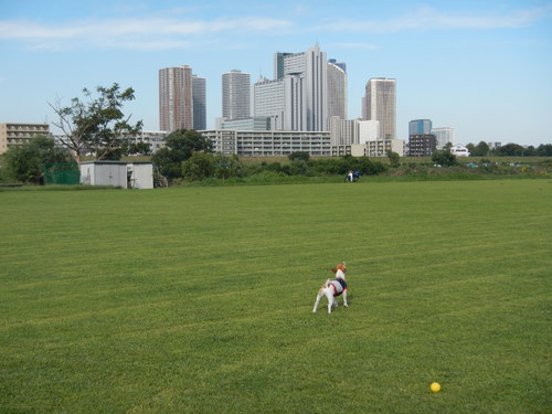 a0229205_21332863.jpg