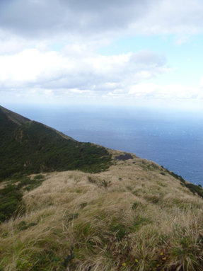 b0044209_9502578.jpg