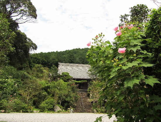 d0154609_13181834.jpg