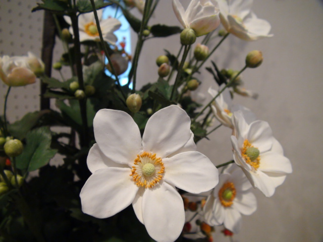 f0231709_175441.jpg