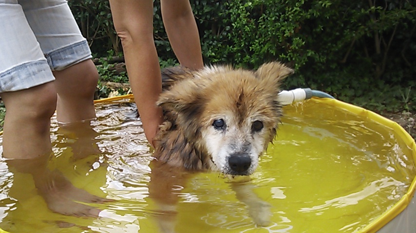 c0029913_21461143.jpg
