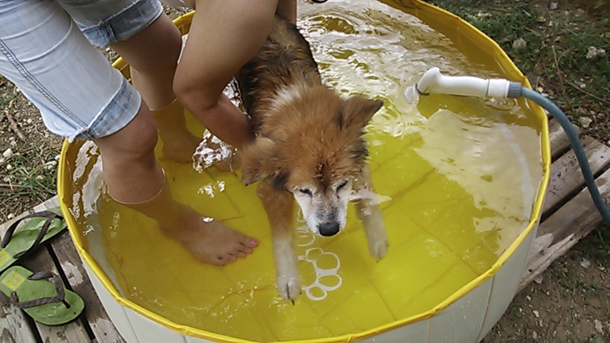c0029913_2148716.jpg