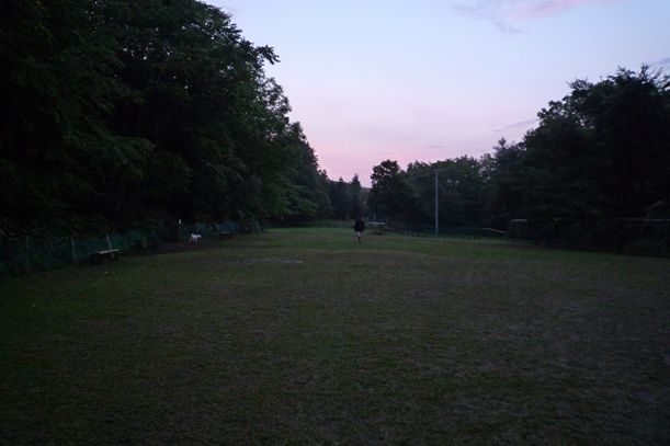 a0109914_1305381.jpg