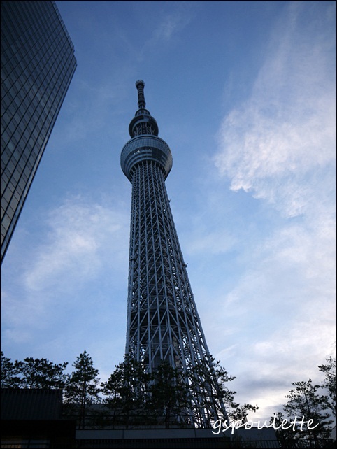 a0117915_034472.jpg