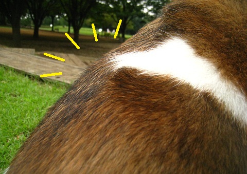 c0084117_20511757.jpg