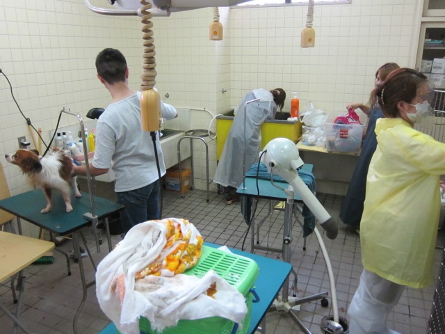 f0078320_1841335.jpg