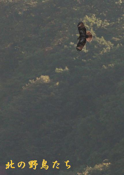 e0266021_2138114.jpg