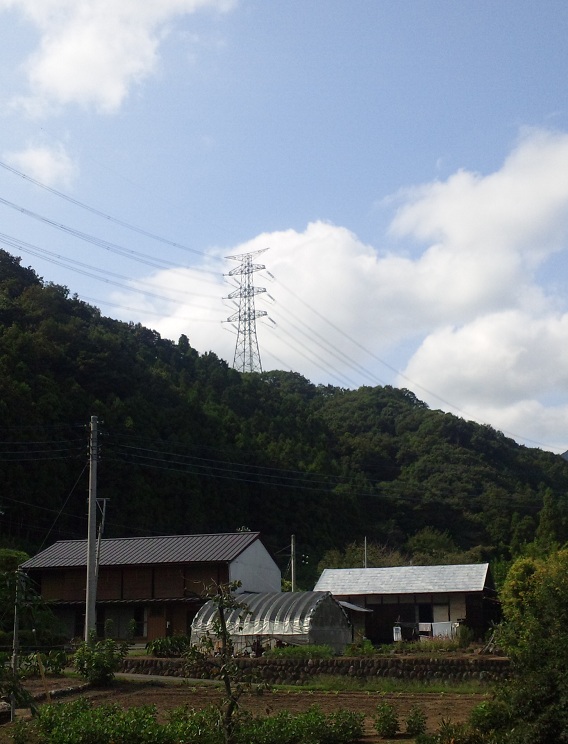 b0199924_14392011.jpg