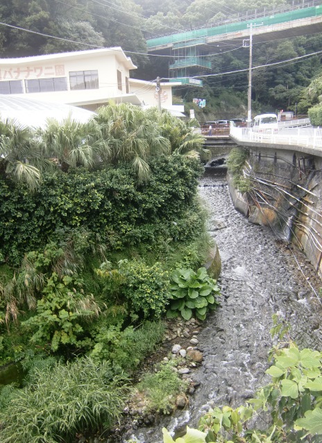 d0018424_12493695.jpg