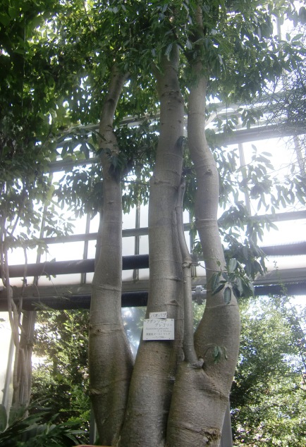d0018424_17541434.jpg