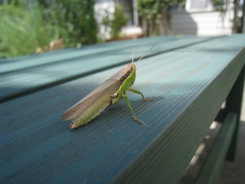 c0134734_222269.jpg