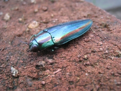 c0134734_2232326.jpg