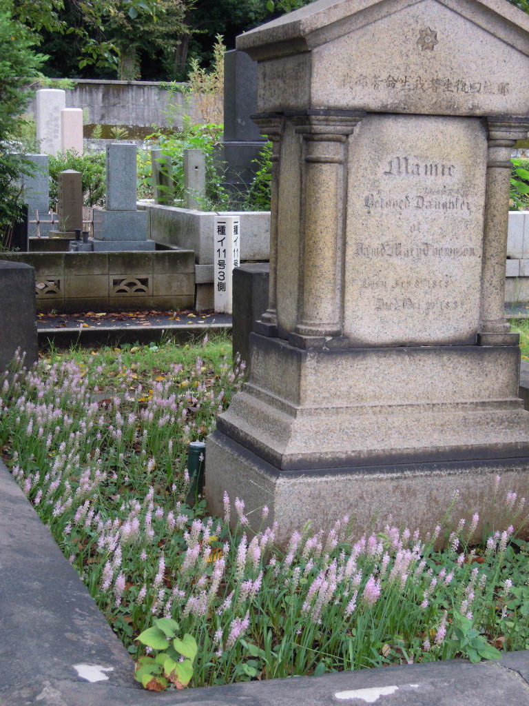 e0081334_15321640.jpg