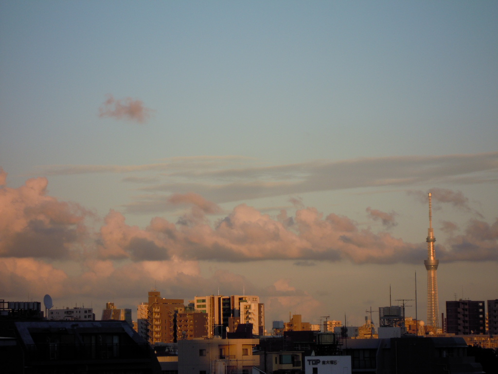 e0081334_2383869.jpg