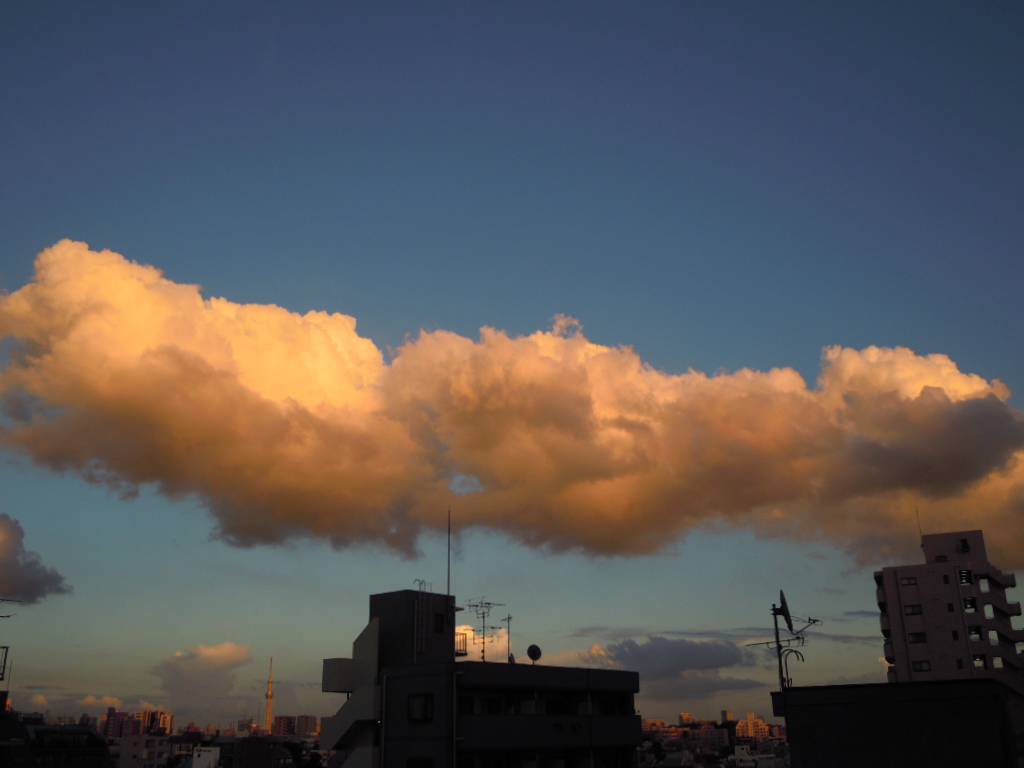 e0081334_239494.jpg