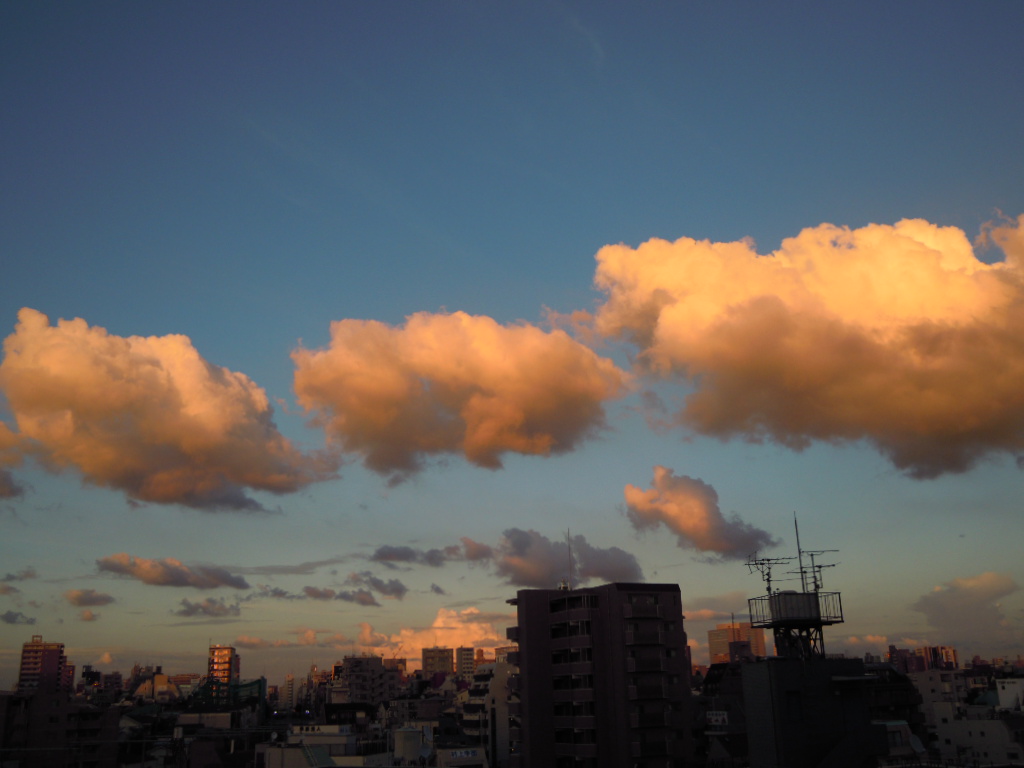 e0081334_240097.jpg
