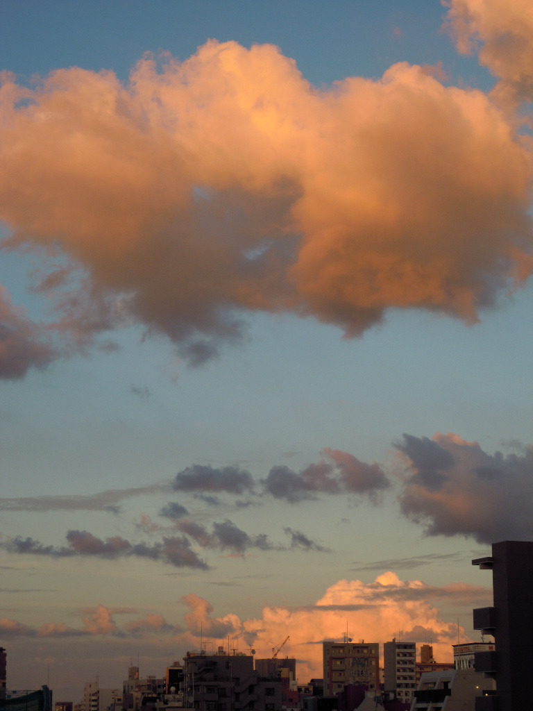 e0081334_2401194.jpg
