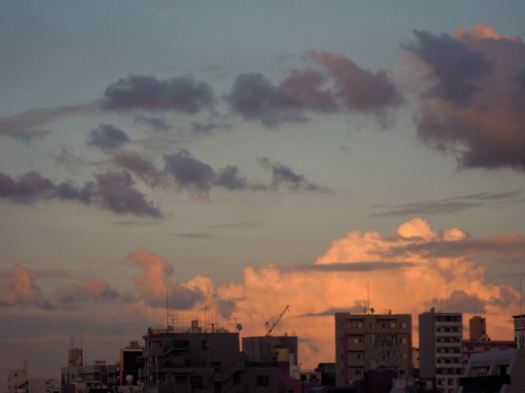 e0081334_2402789.jpg