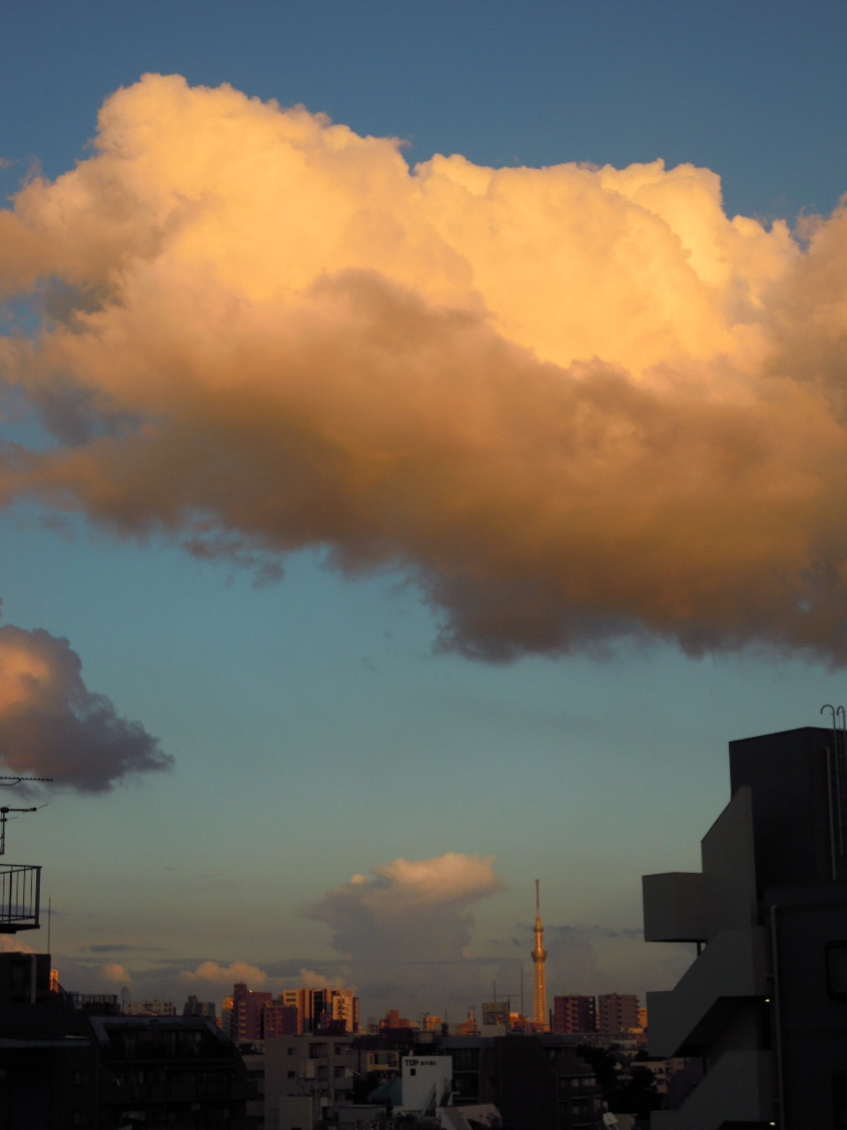 e0081334_2404288.jpg