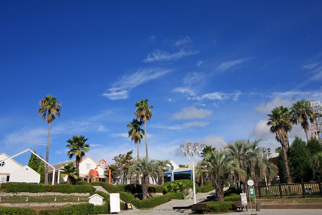 a0242438_1946836.jpg
