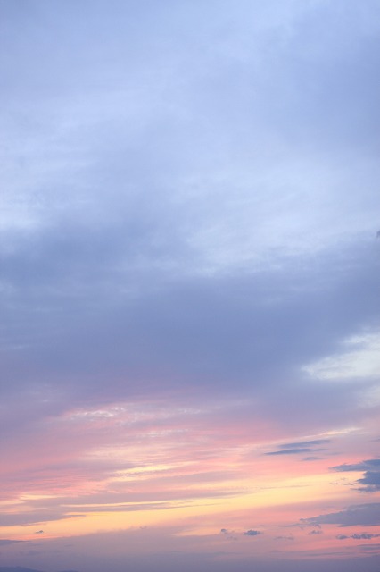 b0168041_1856027.jpg
