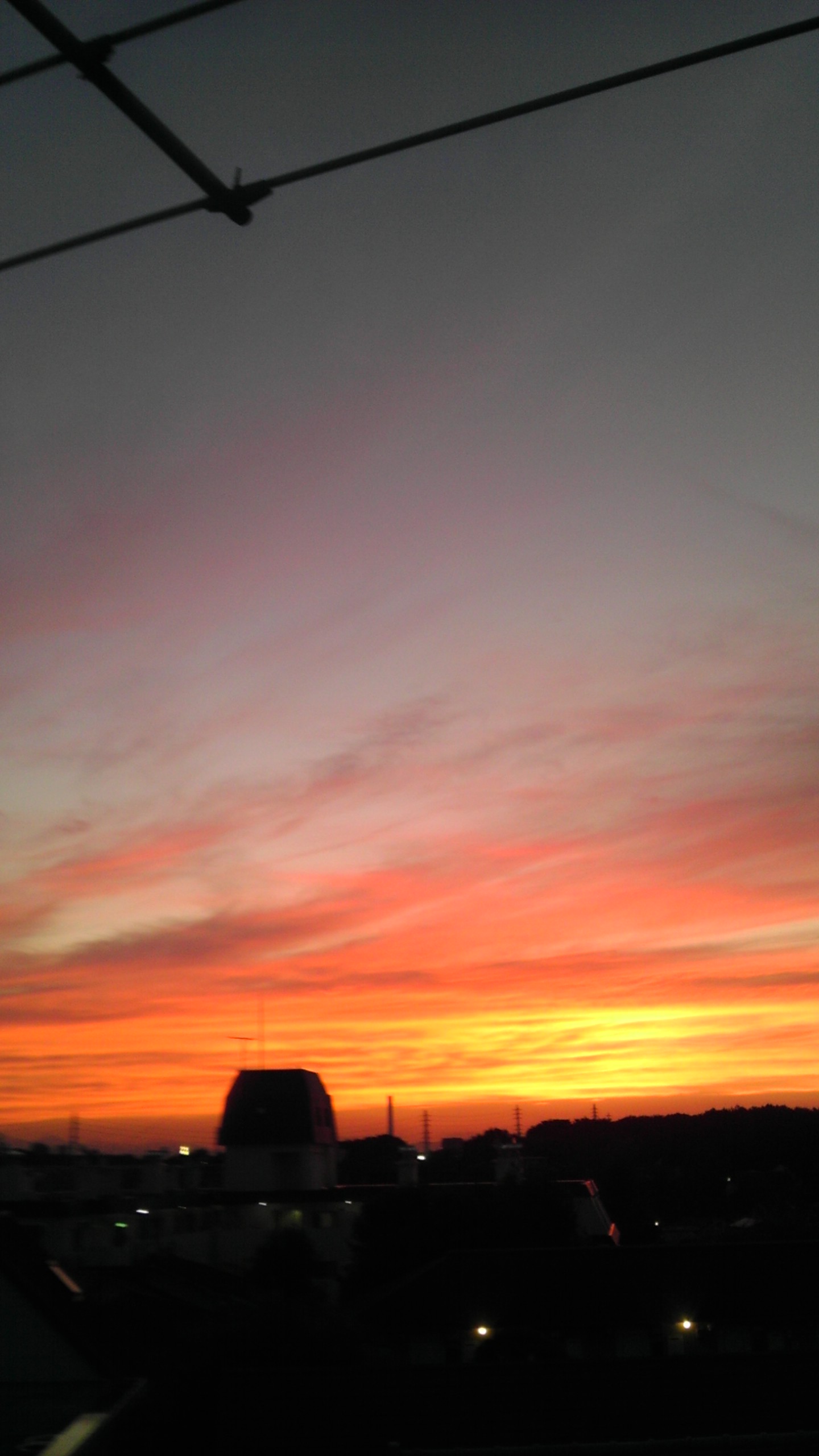 b0090243_2142681.jpg