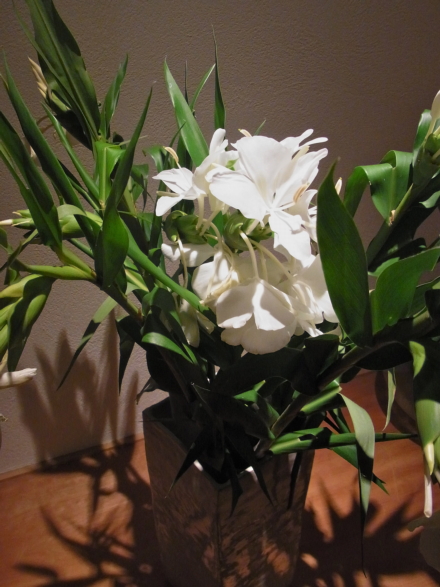 c0224154_2082140.jpg