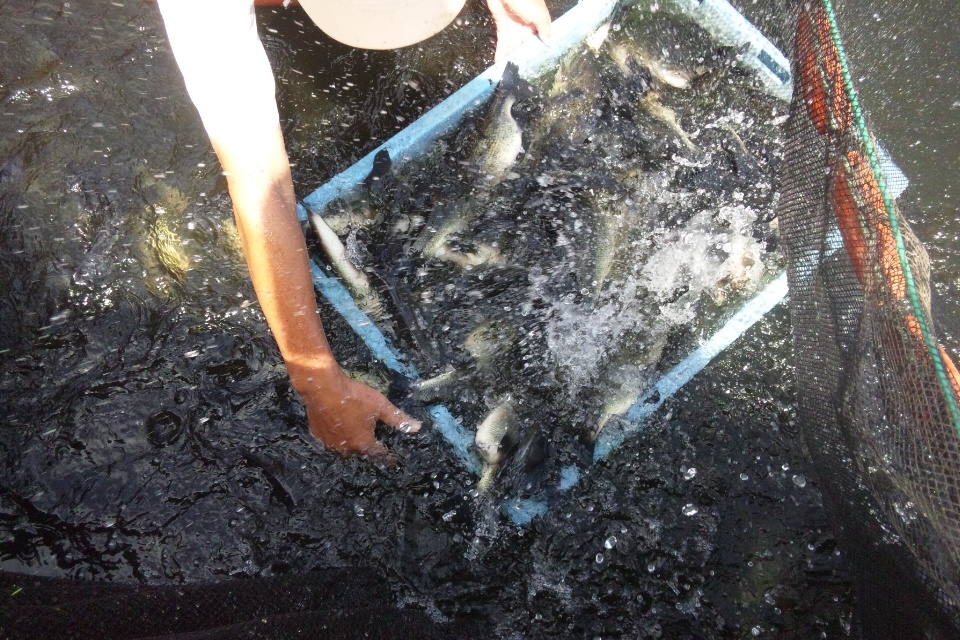 e0133656_23162636.jpg