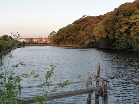 c0108460_22251187.jpg