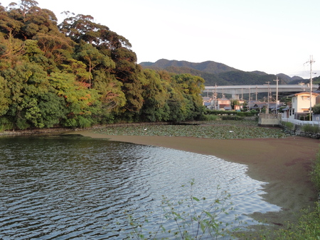 c0108460_22272354.jpg