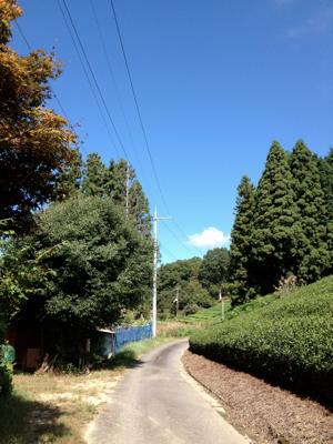 d0259360_8352427.jpg