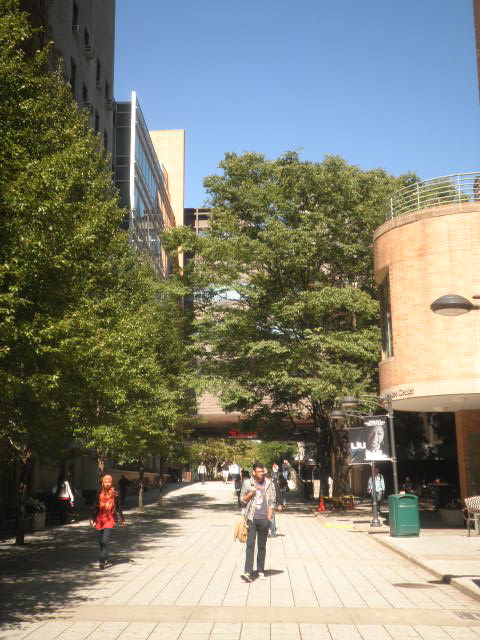 d0181461_2245481.jpg