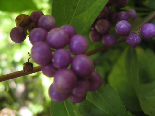 b0267163_1624425.jpg