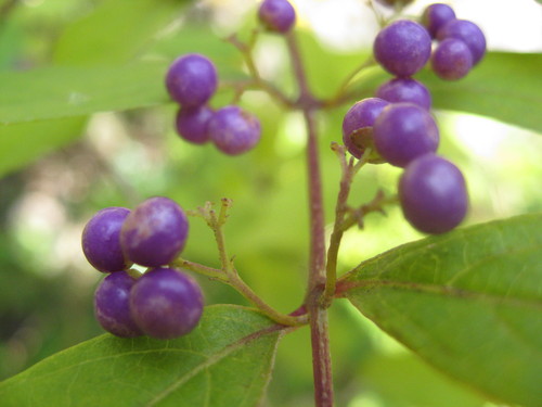 b0267163_16264088.jpg